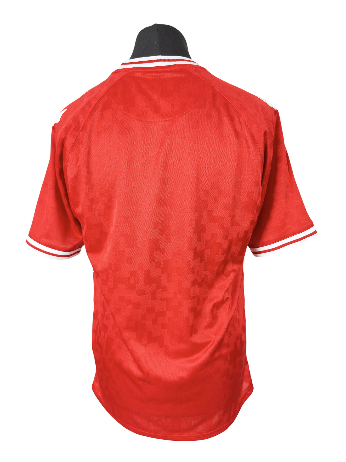 Denmark 2024-25 Home - Size L (M Fit)