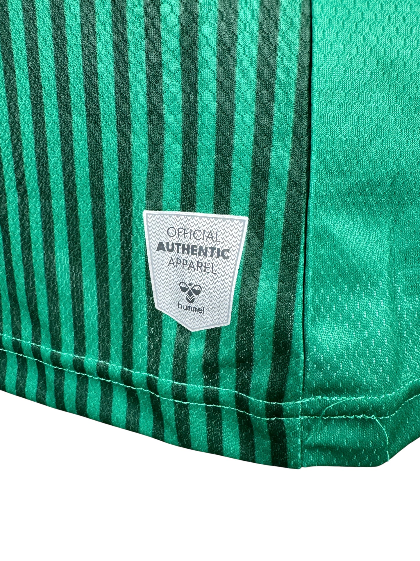 Werder Bremen 2023-24 Home - Size XL (L Fit)